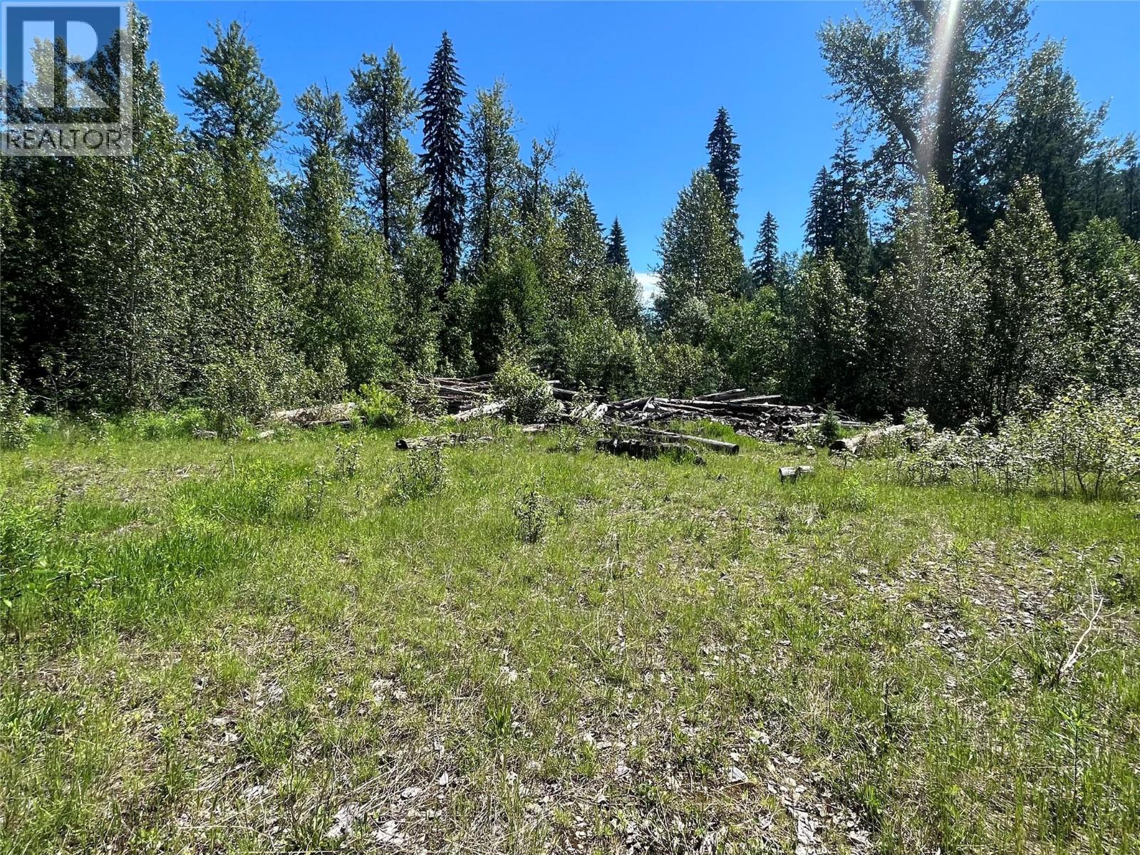 5568 Trans Canada Highway, Malakwa, British Columbia  V0E 1M3 - Photo 12 - 10389982