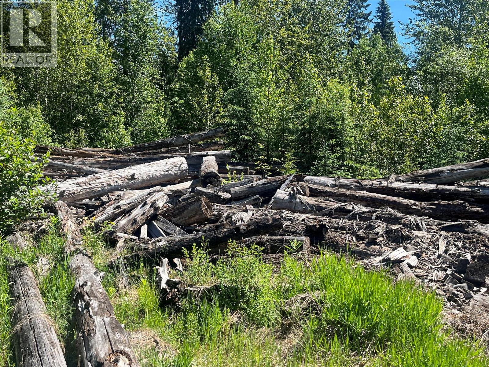5568 Trans Canada Highway, Malakwa, British Columbia  V0E 1M3 - Photo 13 - 10389982