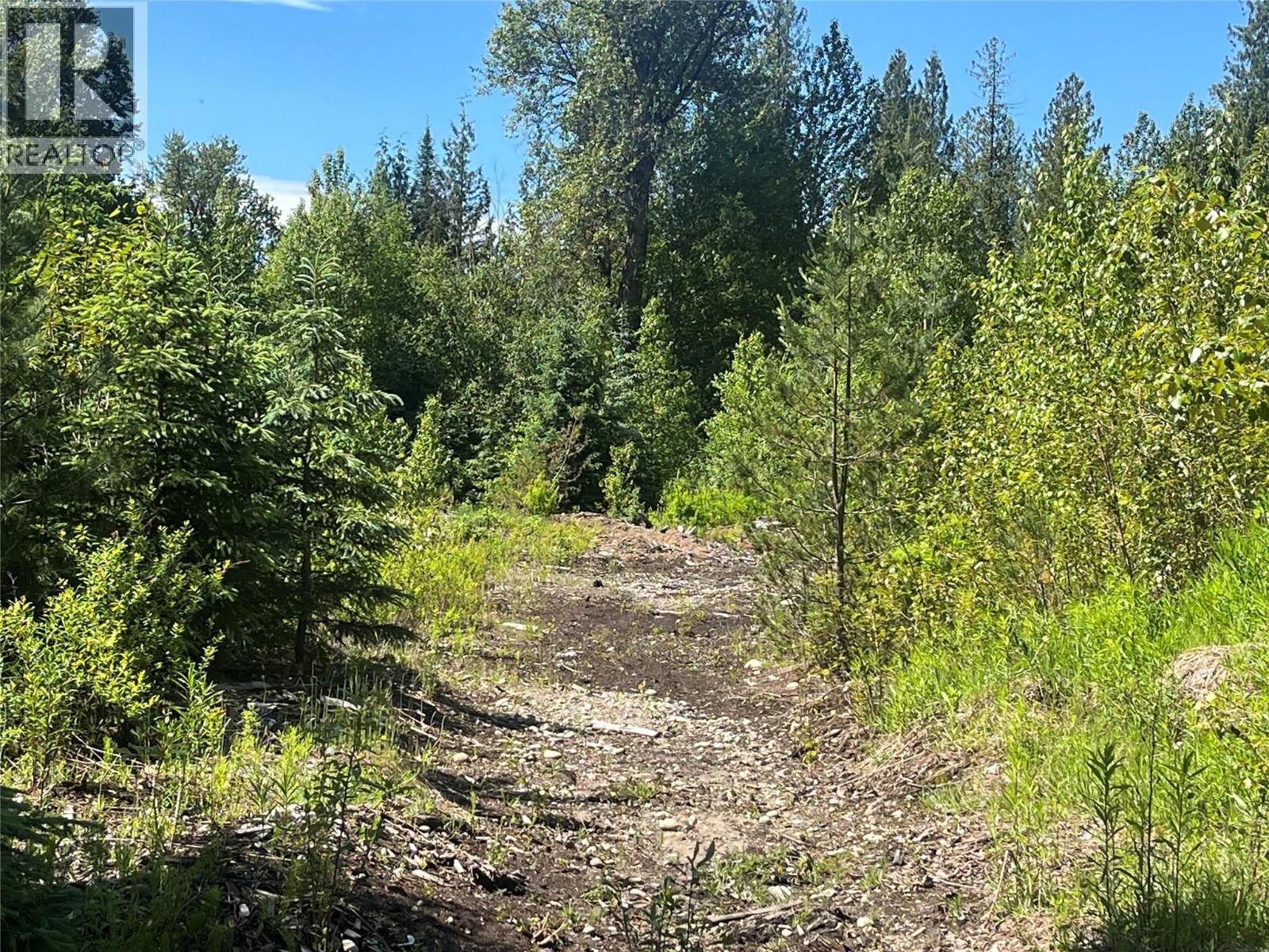 5568 Trans Canada Highway, Malakwa, British Columbia  V0E 1M3 - Photo 14 - 10389982