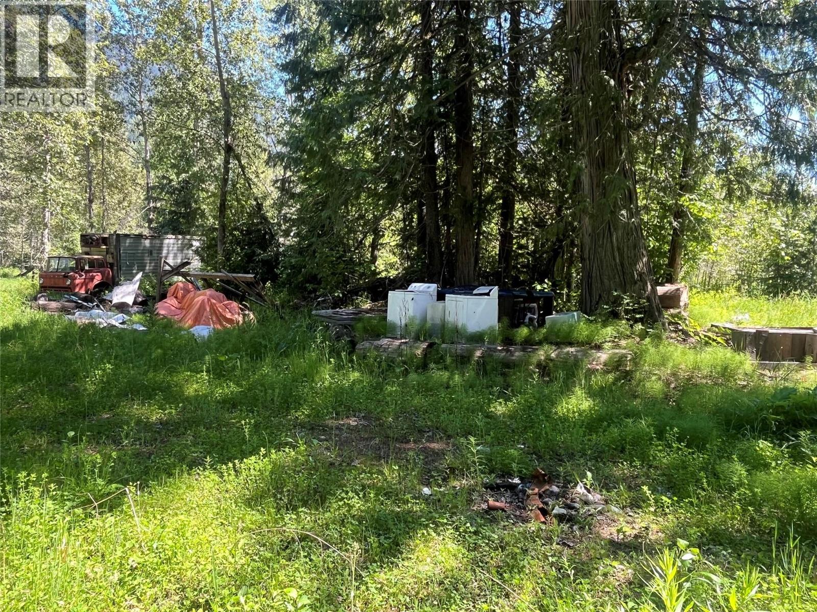 5568 Trans Canada Highway, Malakwa, British Columbia  V0E 1M3 - Photo 20 - 10389982