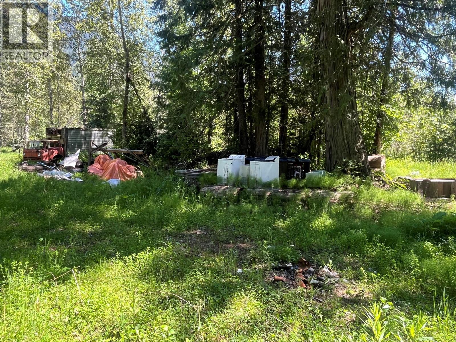 5568 Trans Canada Highway, Malakwa, British Columbia  V0E 1M3 - Photo 21 - 10389982