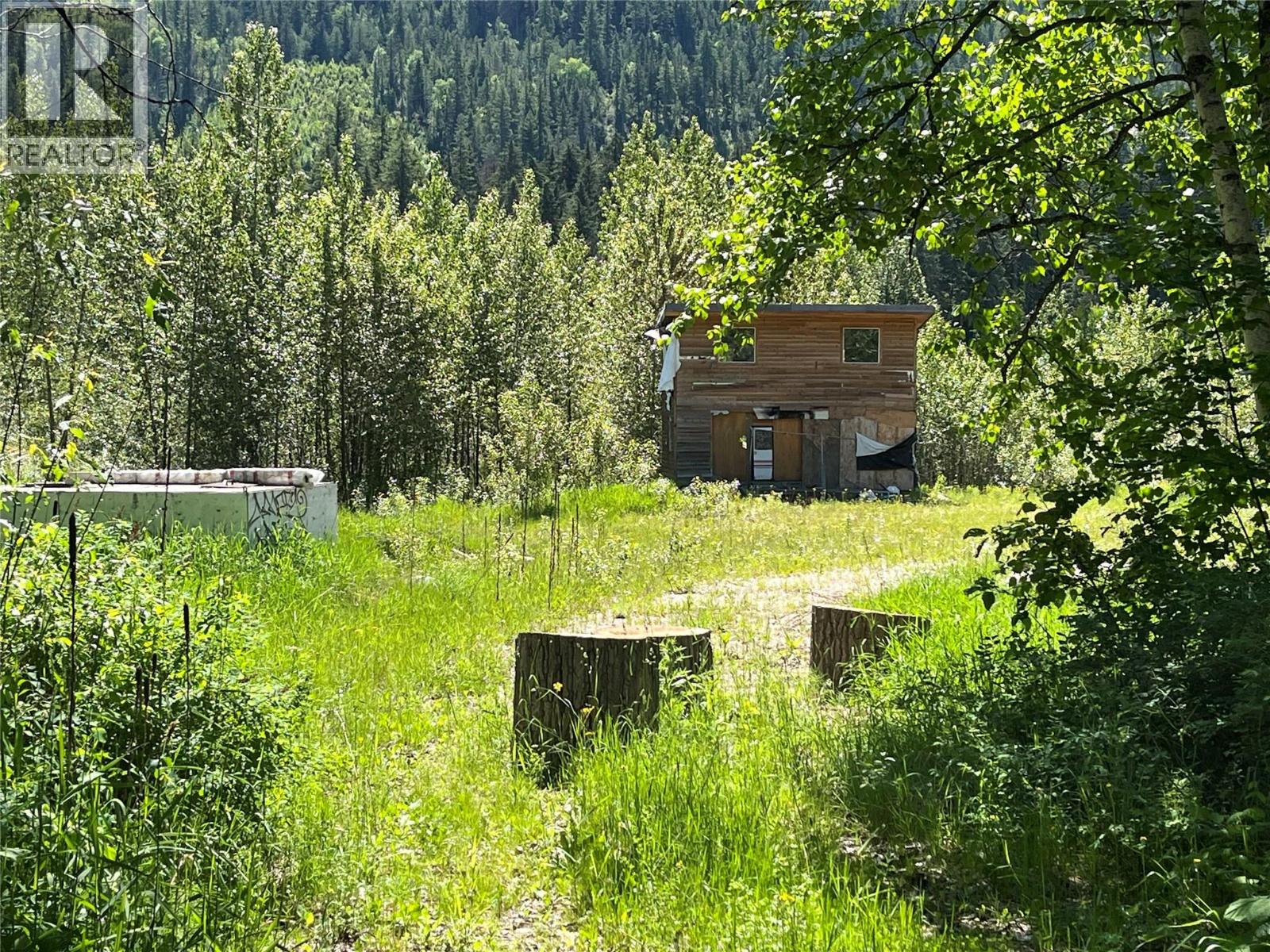 5568 Trans Canada Highway, Malakwa, British Columbia  V0E 1M3 - Photo 9 - 10389982