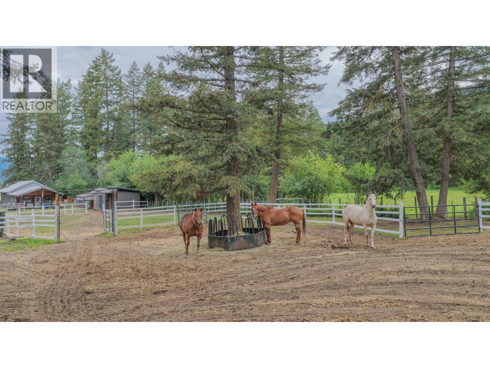 272 Lumby Mabel Lake Road, Lumby, British Columbia  V0E 2G5 - Photo 45 - 10390019