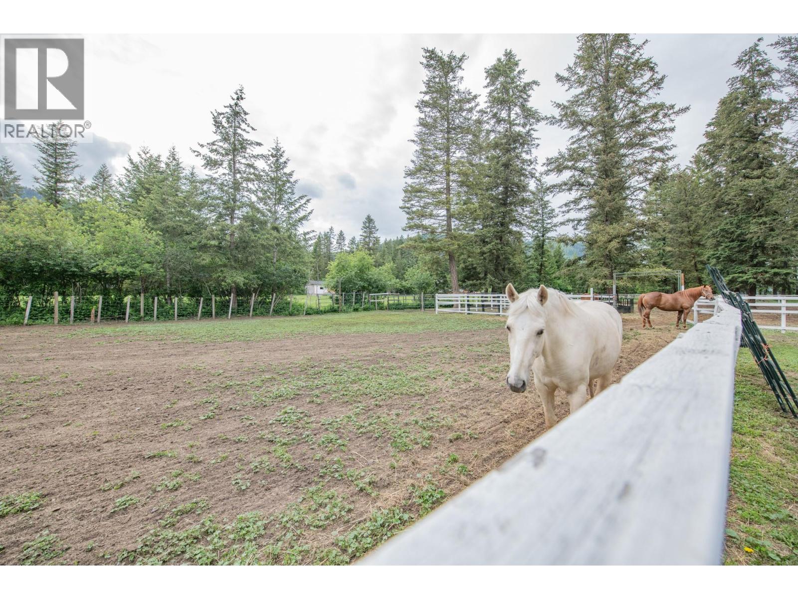 272 Lumby Mabel Lake Road, Lumby, British Columbia  V0E 2G5 - Photo 51 - 10390019
