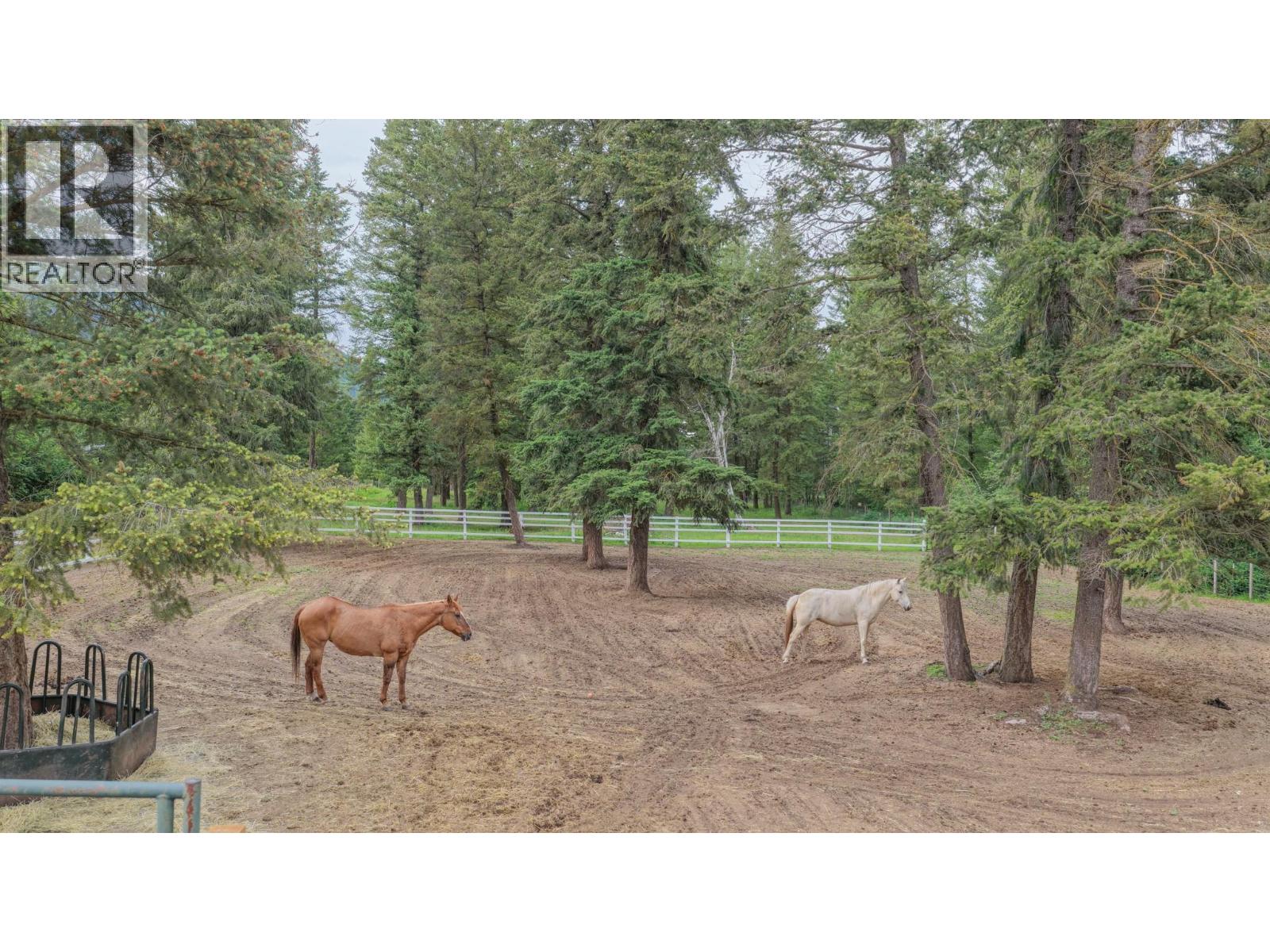 272 Lumby Mabel Lake Road, Lumby, British Columbia  V0E 2G5 - Photo 53 - 10390019