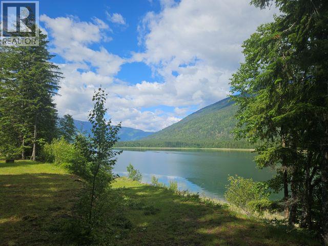 2995 Idler Road, Nakusp, British Columbia  V0G 1R1 - Photo 1 - 10390021