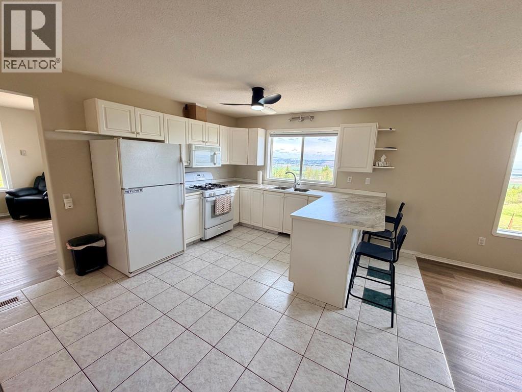 1037 Paradise Valley Subdivision, Dawson Creek, British Columbia  V1G 0H4 - Photo 28 - 10390129