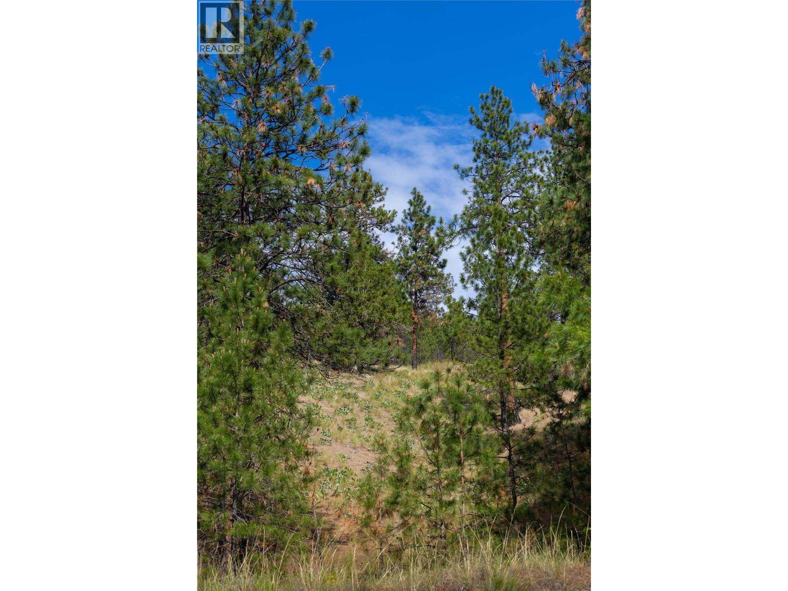 Lot A Okanagan Centre Road W, Lake Country, British Columbia  V4V 2H8 - Photo 12 - 10389044