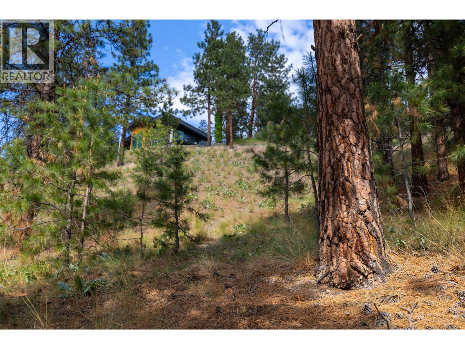 Lot A Okanagan Centre Road W, Lake Country, British Columbia  V4V 2H8 - Photo 16 - 10389044