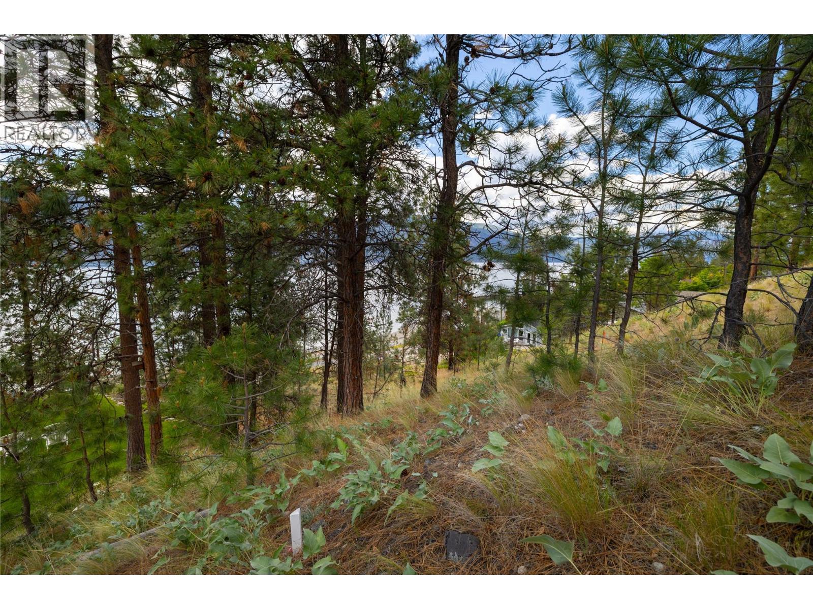 Lot A Okanagan Centre Road W, Lake Country, British Columbia  V4V 2H8 - Photo 17 - 10389044