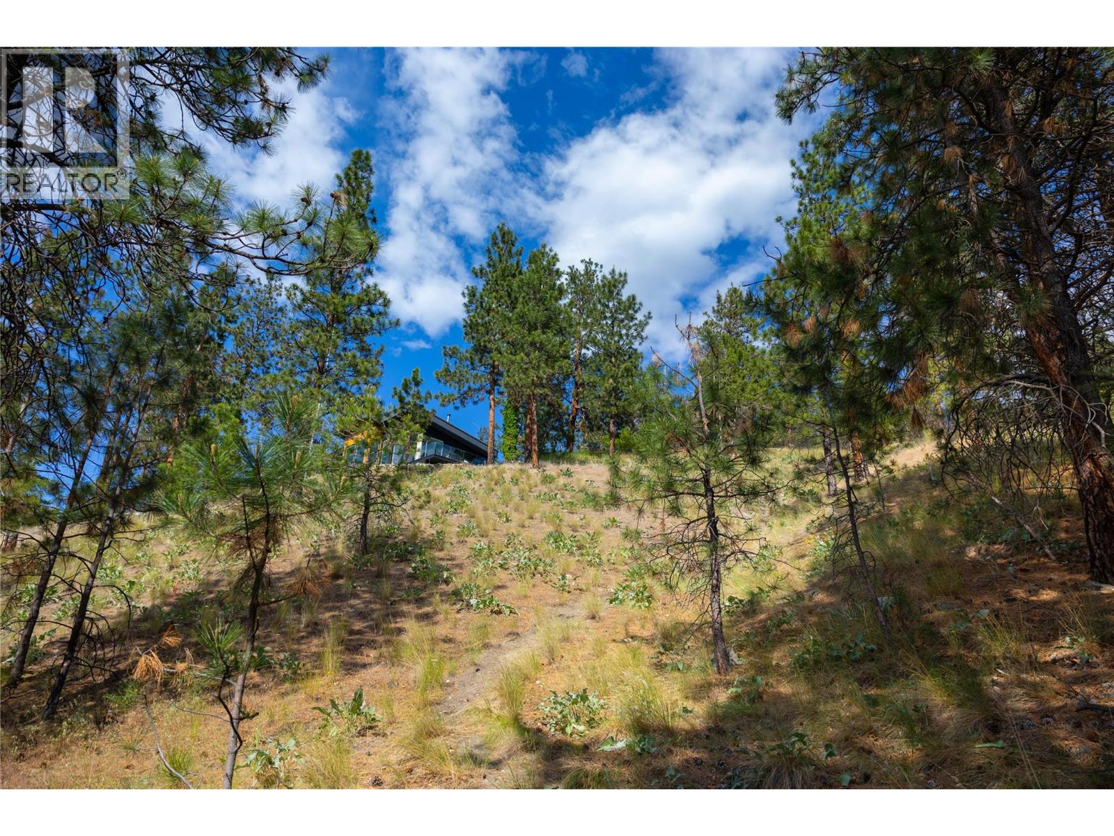 Lot A Okanagan Centre Road W, Lake Country, British Columbia  V4V 2H8 - Photo 24 - 10389044