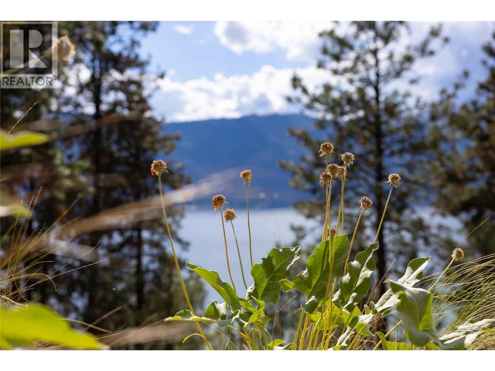 Lot A Okanagan Centre Road W, Lake Country, British Columbia  V4V 2H8 - Photo 47 - 10389044