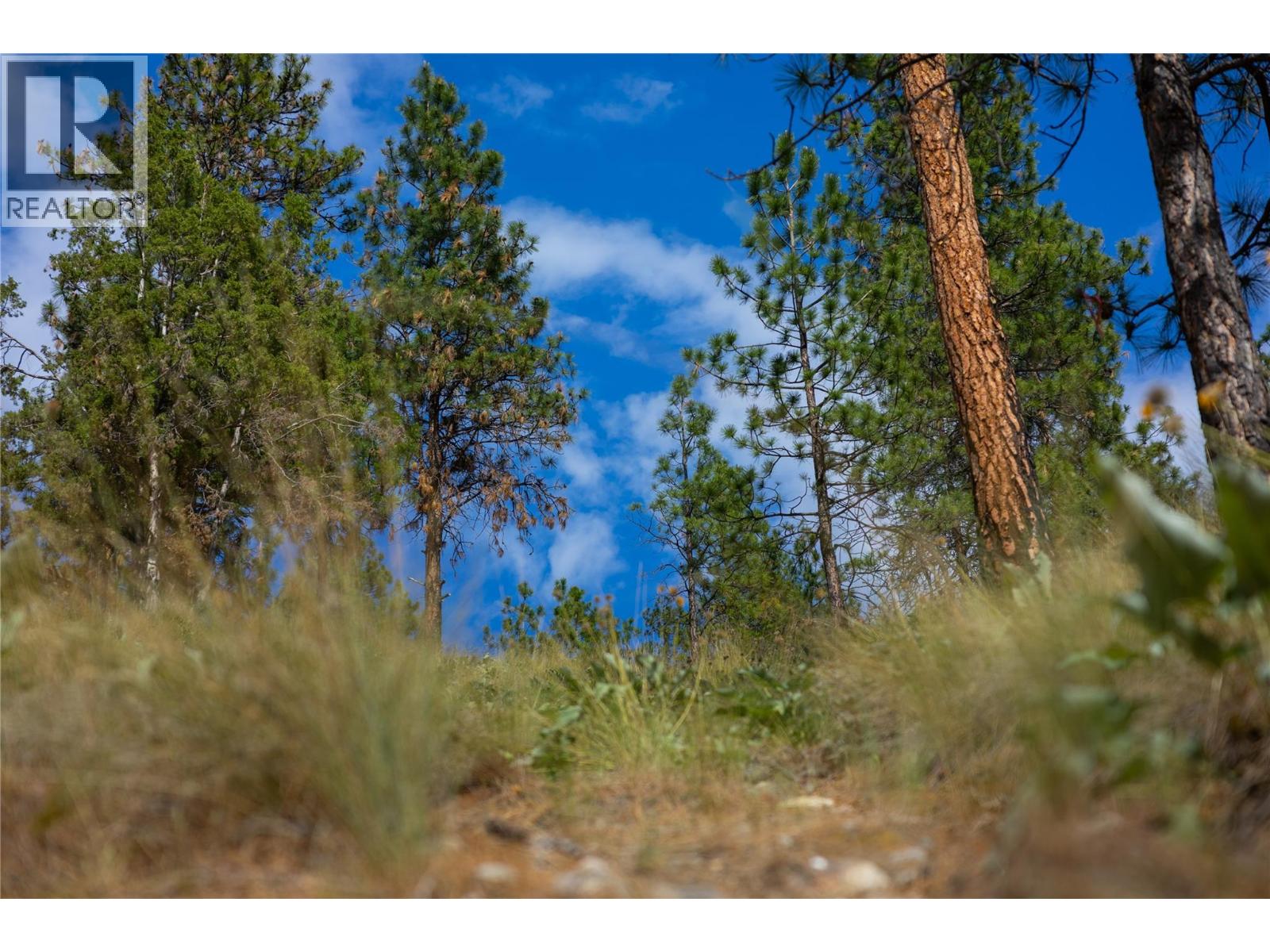 Lot A Okanagan Centre Road W, Lake Country, British Columbia  V4V 2H8 - Photo 49 - 10389044