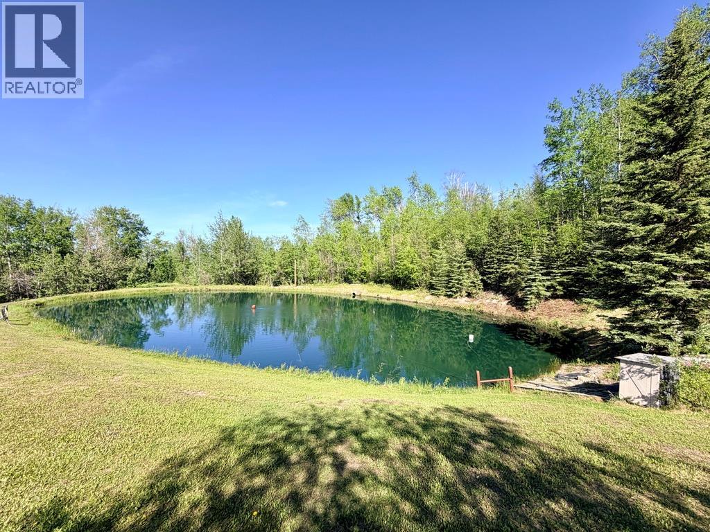 158 Moore Subdivision, Dawson Creek, British Columbia  V1G 4E8 - Photo 39 - 10390285