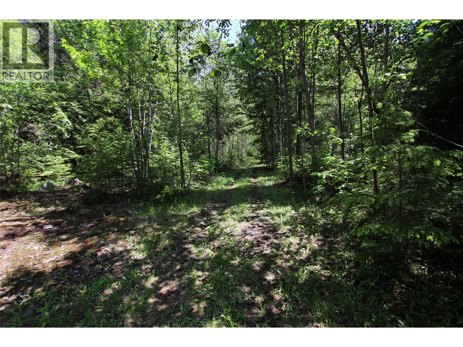 7735 Stewart Road, Fauquier, British Columbia  V0G 1K0 - Photo 22 - 10389520