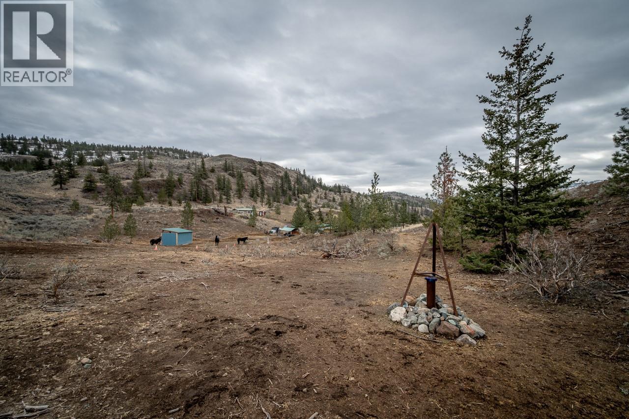 5173 Trans Canada Highway, Kamloops, British Columbia  V1S 2A5 - Photo 22 - 10390279
