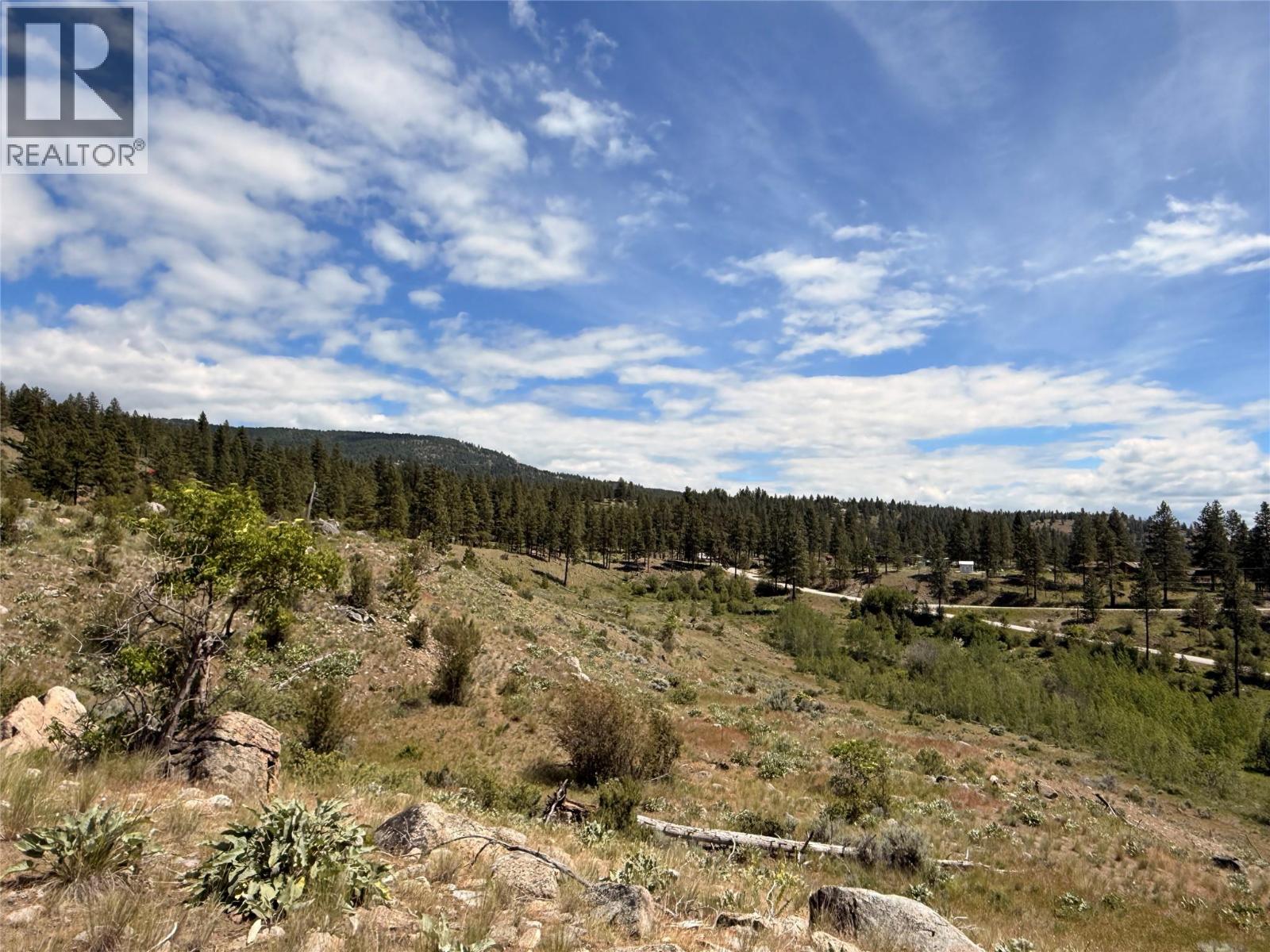 389 Chapman Road, Osoyoos, British Columbia  V0H 1V6 - Photo 10 - 10389569