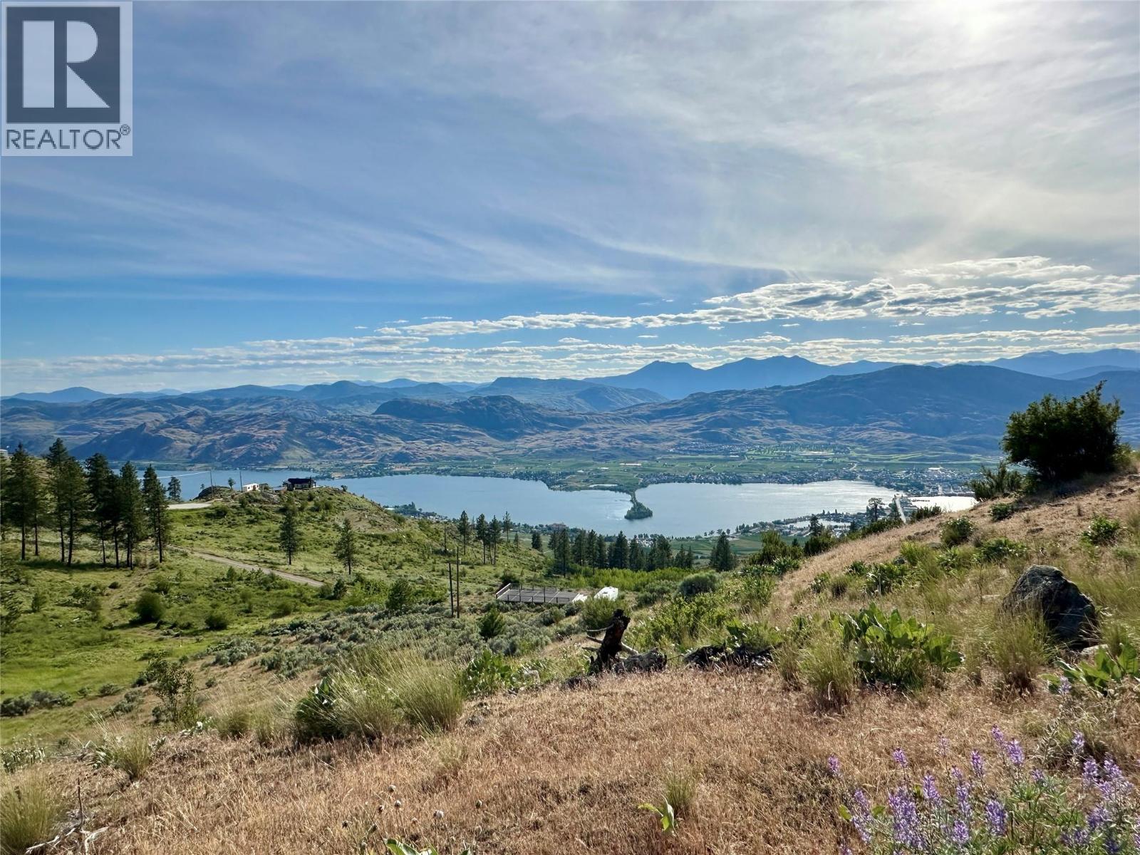 389 Chapman Road, Osoyoos, British Columbia  V0H 1V6 - Photo 9 - 10389569