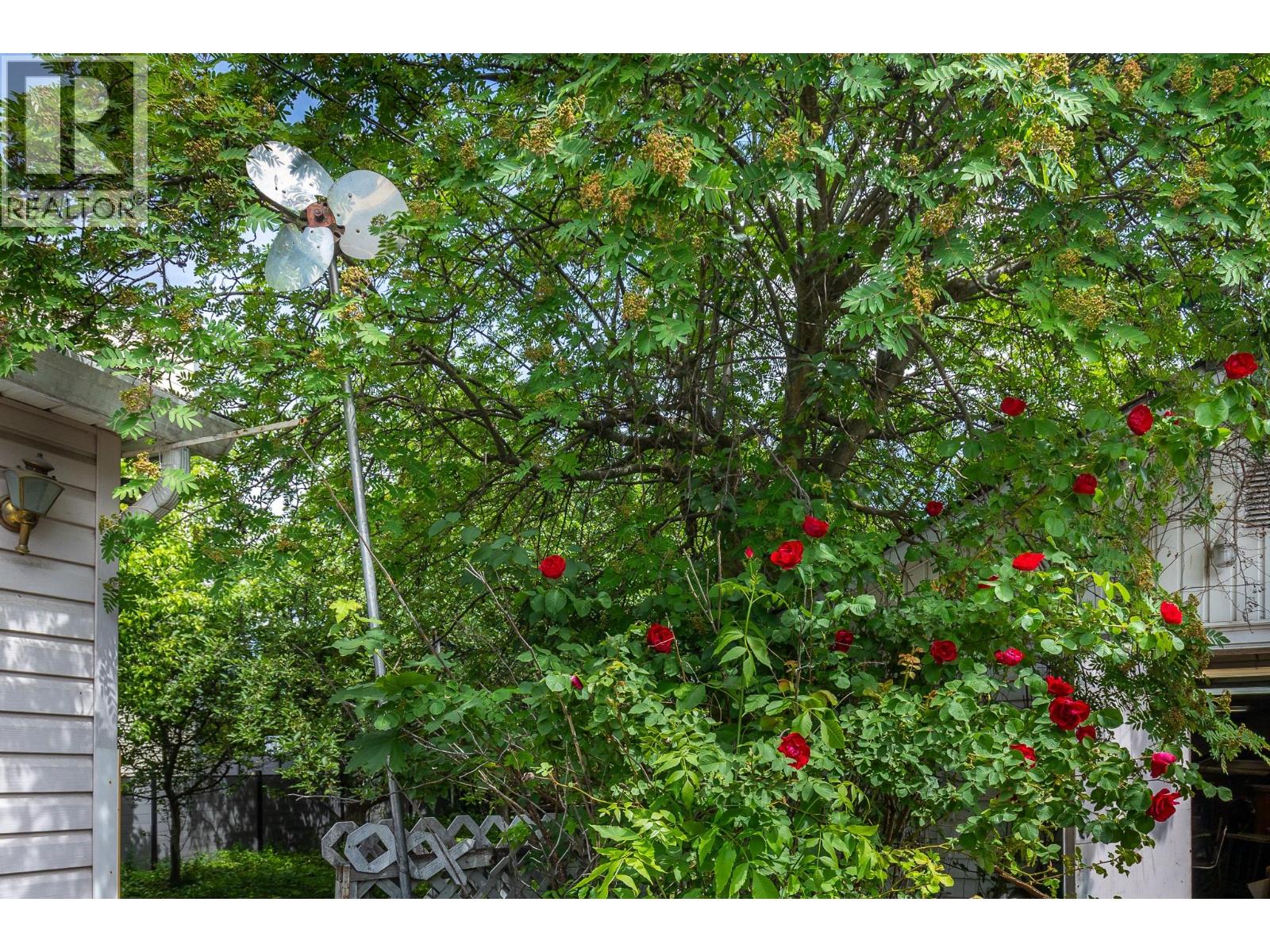 3905 26 Street, Vernon, British Columbia  V1T 3J2 - Photo 34 - 10369096