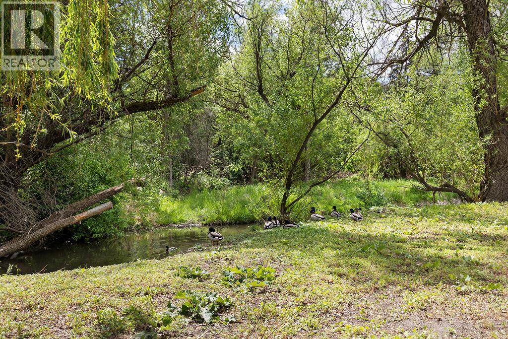 4008 24 Avenue Unit# Unit E, Vernon, British Columbia  V1T 1M2 - Photo 33 - 10387839