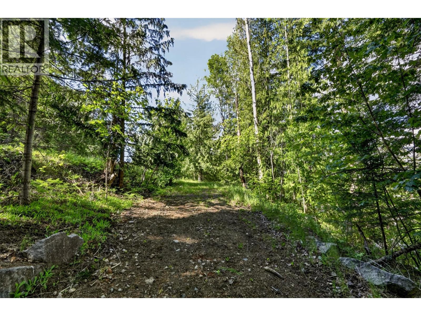 1102 Highway 31a, New Denver, British Columbia  V0G 1S0 - Photo 10 - 10388686