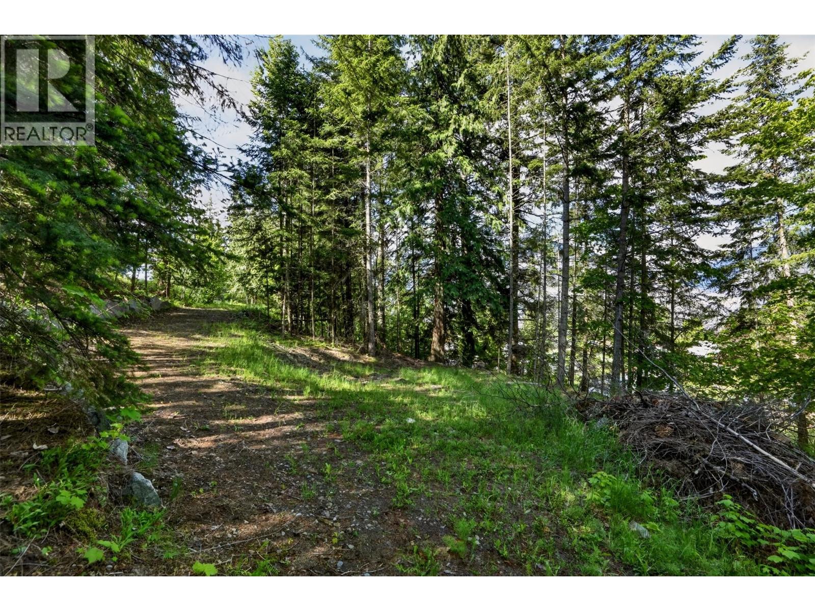 1102 Highway 31a, New Denver, British Columbia  V0G 1S0 - Photo 13 - 10388686