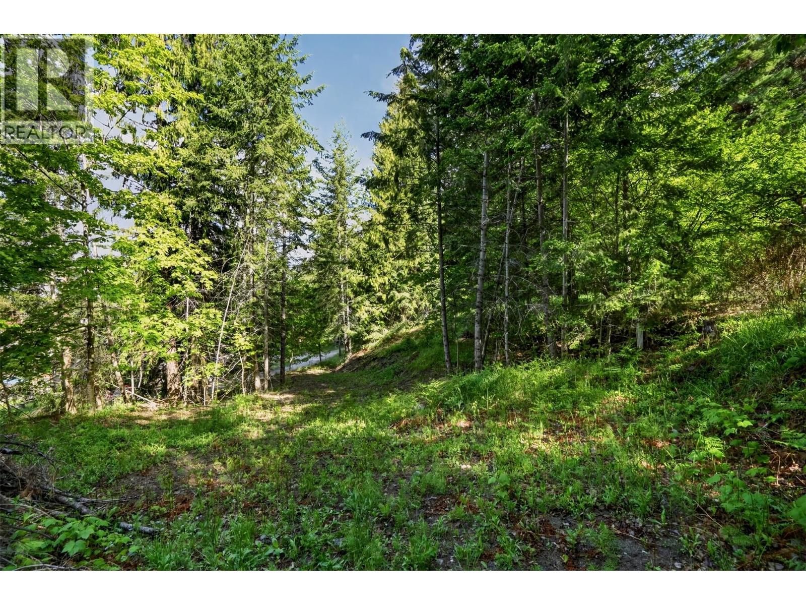 1102 Highway 31a, New Denver, British Columbia  V0G 1S0 - Photo 14 - 10388686