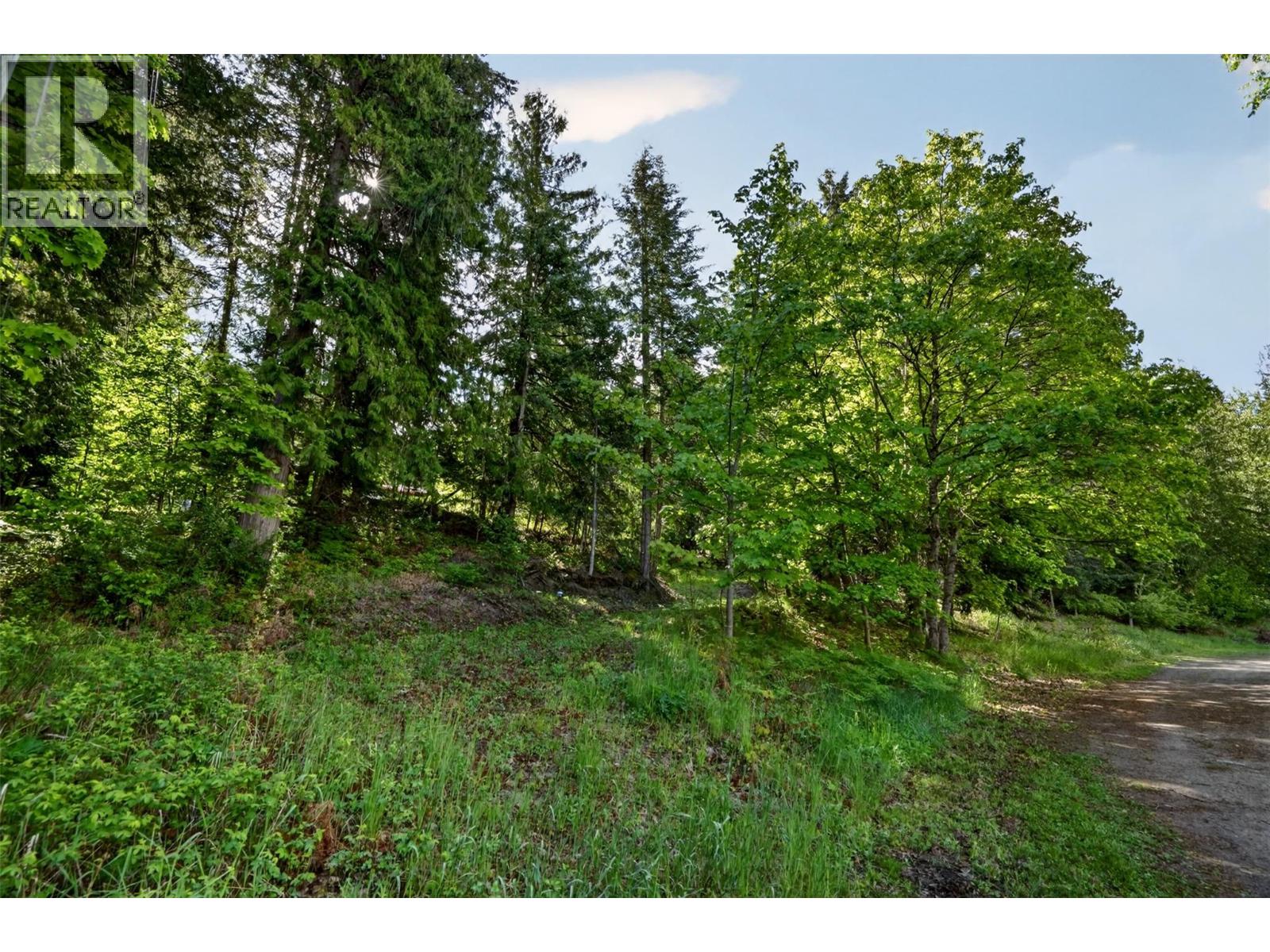 1102 Highway 31a, New Denver, British Columbia  V0G 1S0 - Photo 16 - 10388686