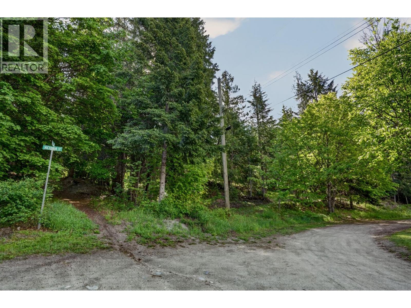 1102 Highway 31a, New Denver, British Columbia  V0G 1S0 - Photo 18 - 10388686