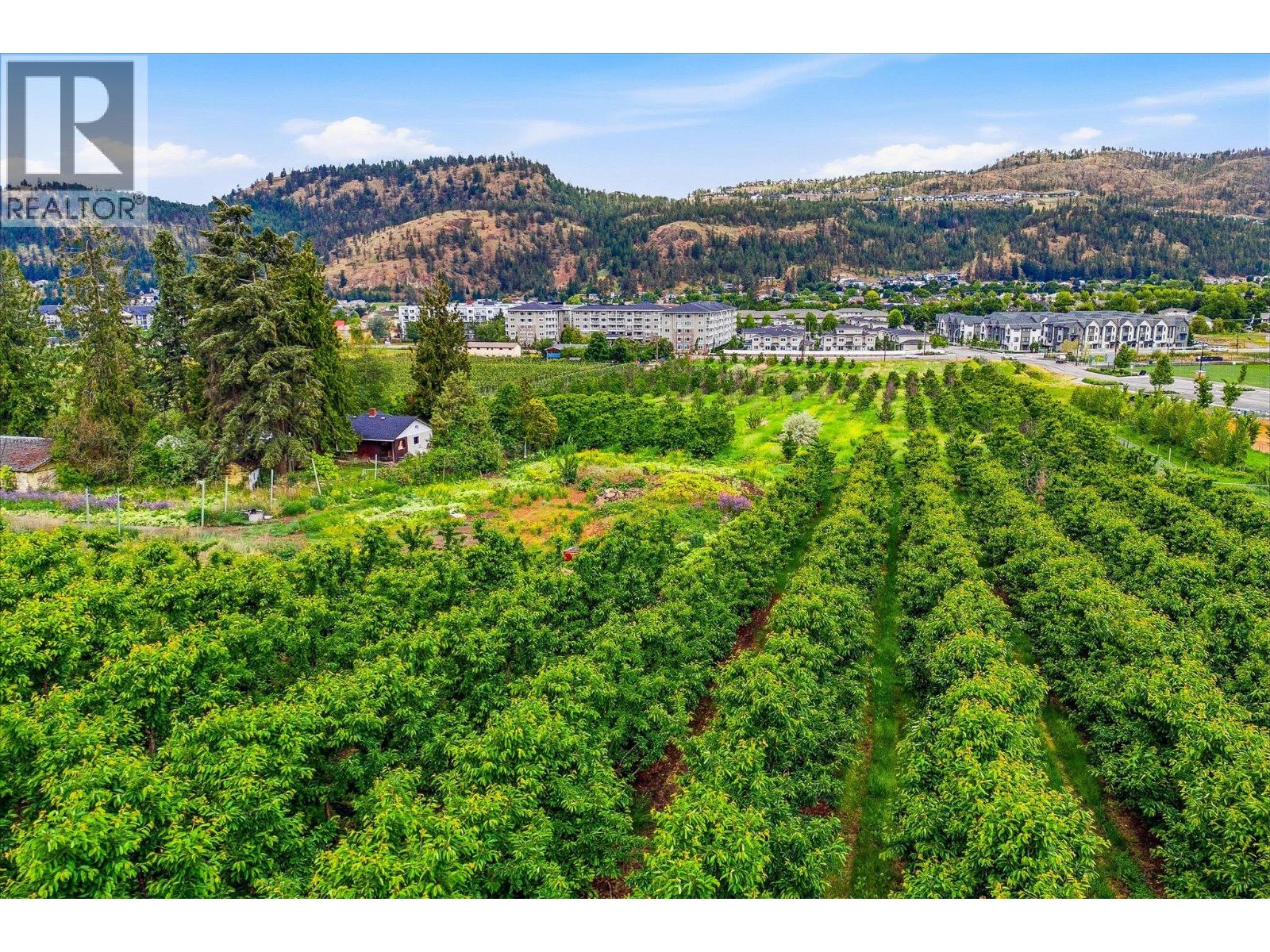 319 Valley Road, Kelowna, British Columbia  V1W 4C5 - Photo 13 - 10390338
