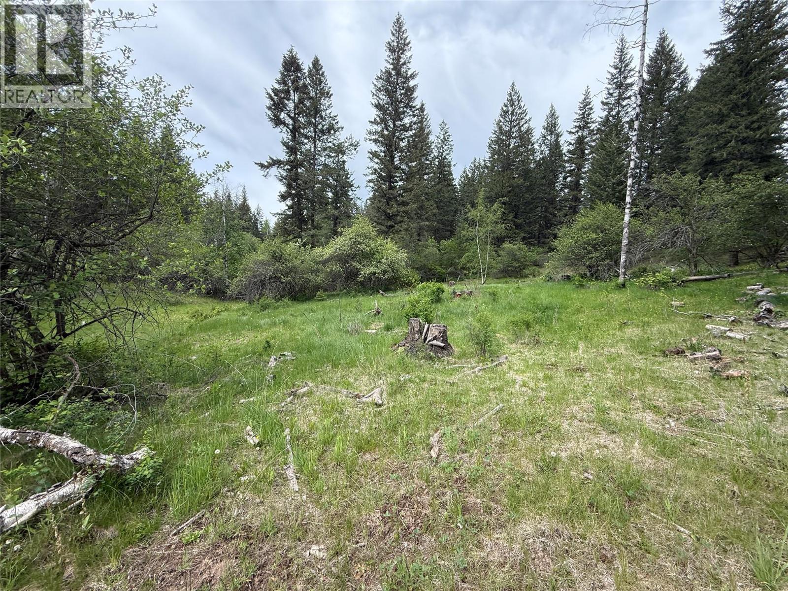 306 Irish Creek Road S, Vernon, British Columbia  V1H 2A4 - Photo 10 - 10390114