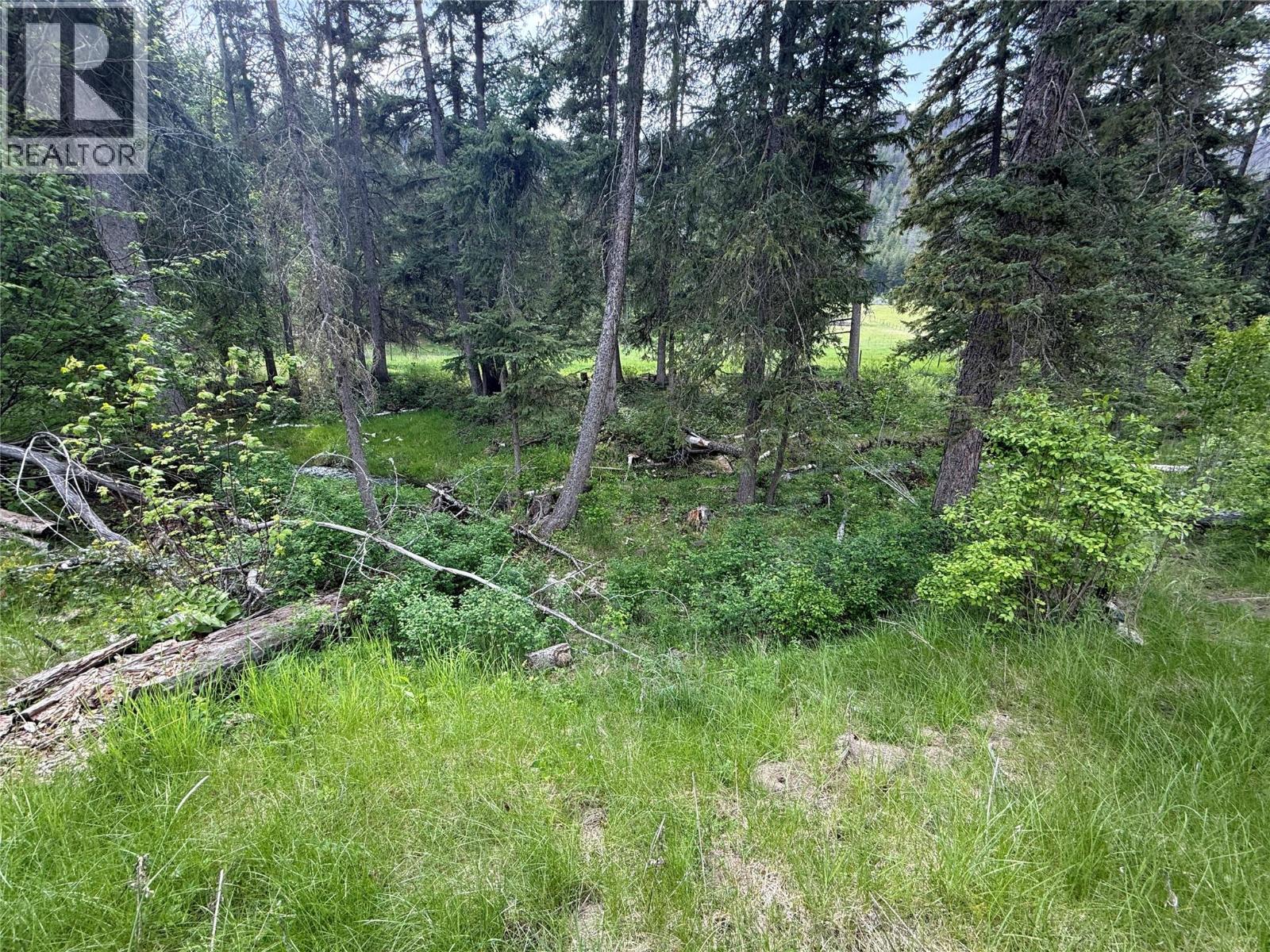 306 Irish Creek Road S, Vernon, British Columbia  V1H 2A4 - Photo 12 - 10390114