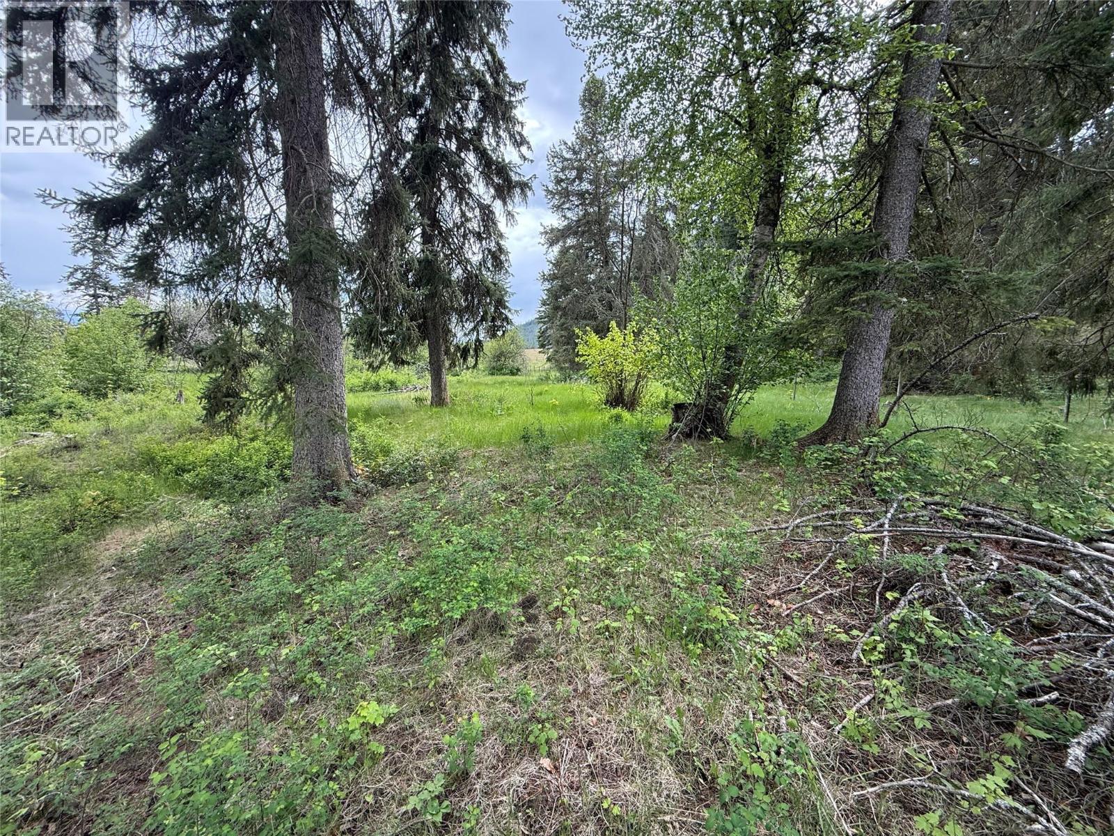 306 Irish Creek Road S, Vernon, British Columbia  V1H 2A4 - Photo 23 - 10390114