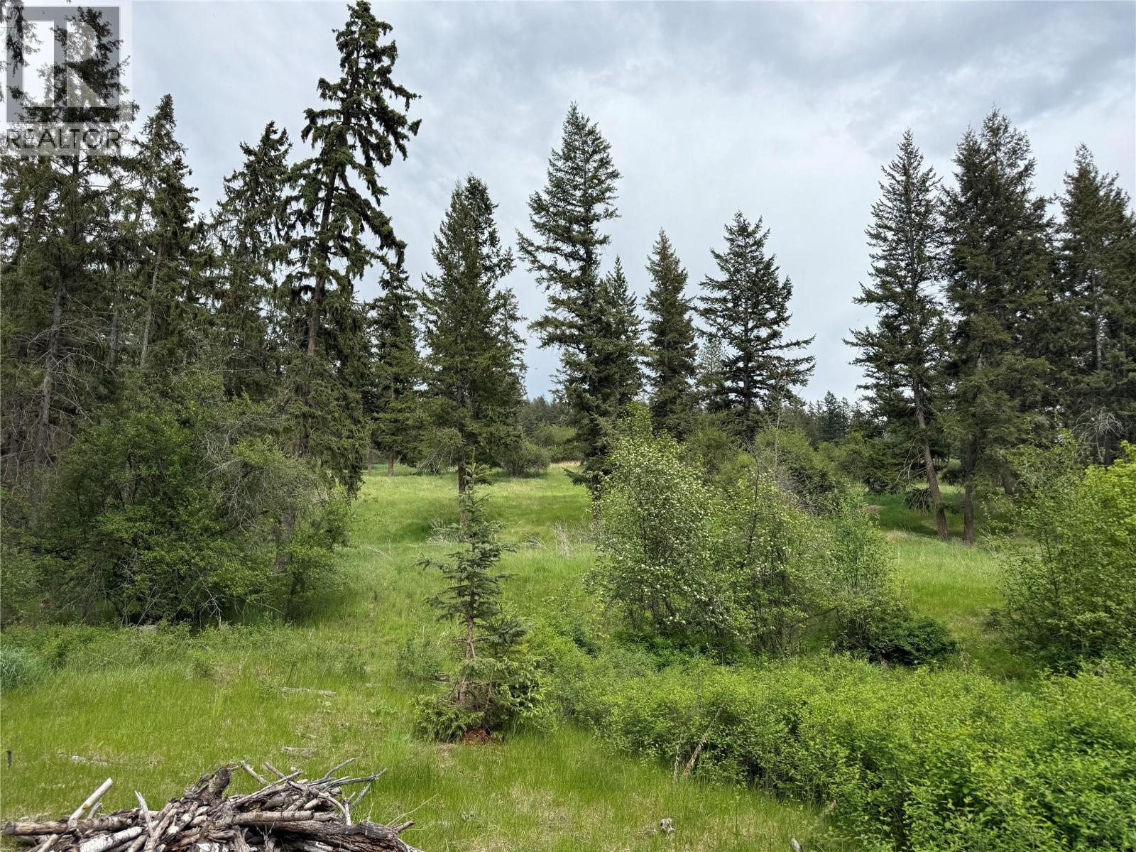 306 Irish Creek Road S, Vernon, British Columbia  V1H 2A4 - Photo 24 - 10390114