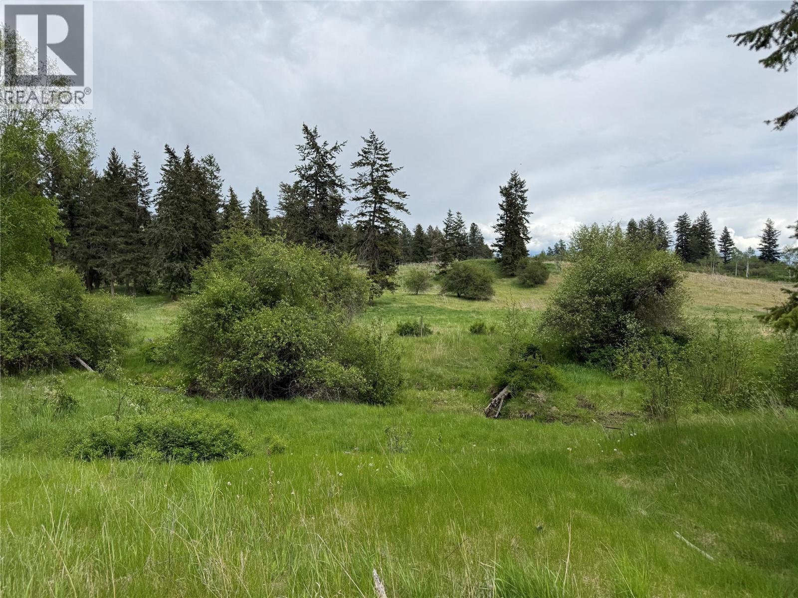 306 Irish Creek Road S, Vernon, British Columbia  V1H 2A4 - Photo 25 - 10390114