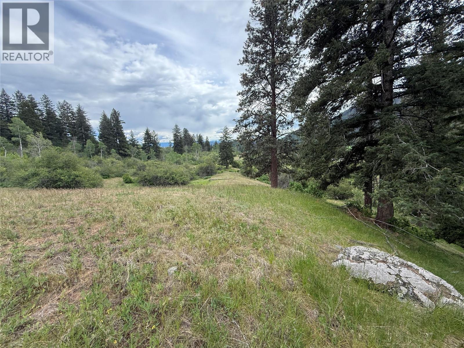 306 Irish Creek Road S, Vernon, British Columbia  V1H 2A4 - Photo 4 - 10390114