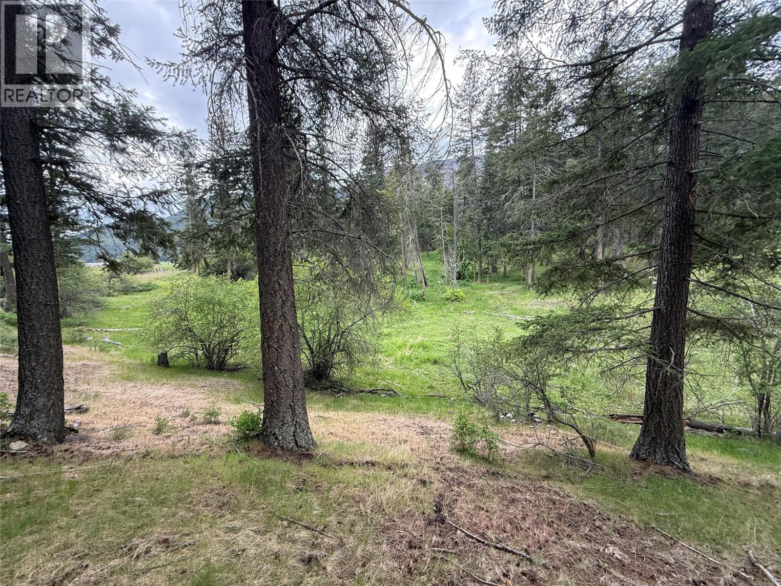306 Irish Creek Road S, Vernon, British Columbia  V1H 2A4 - Photo 5 - 10390114