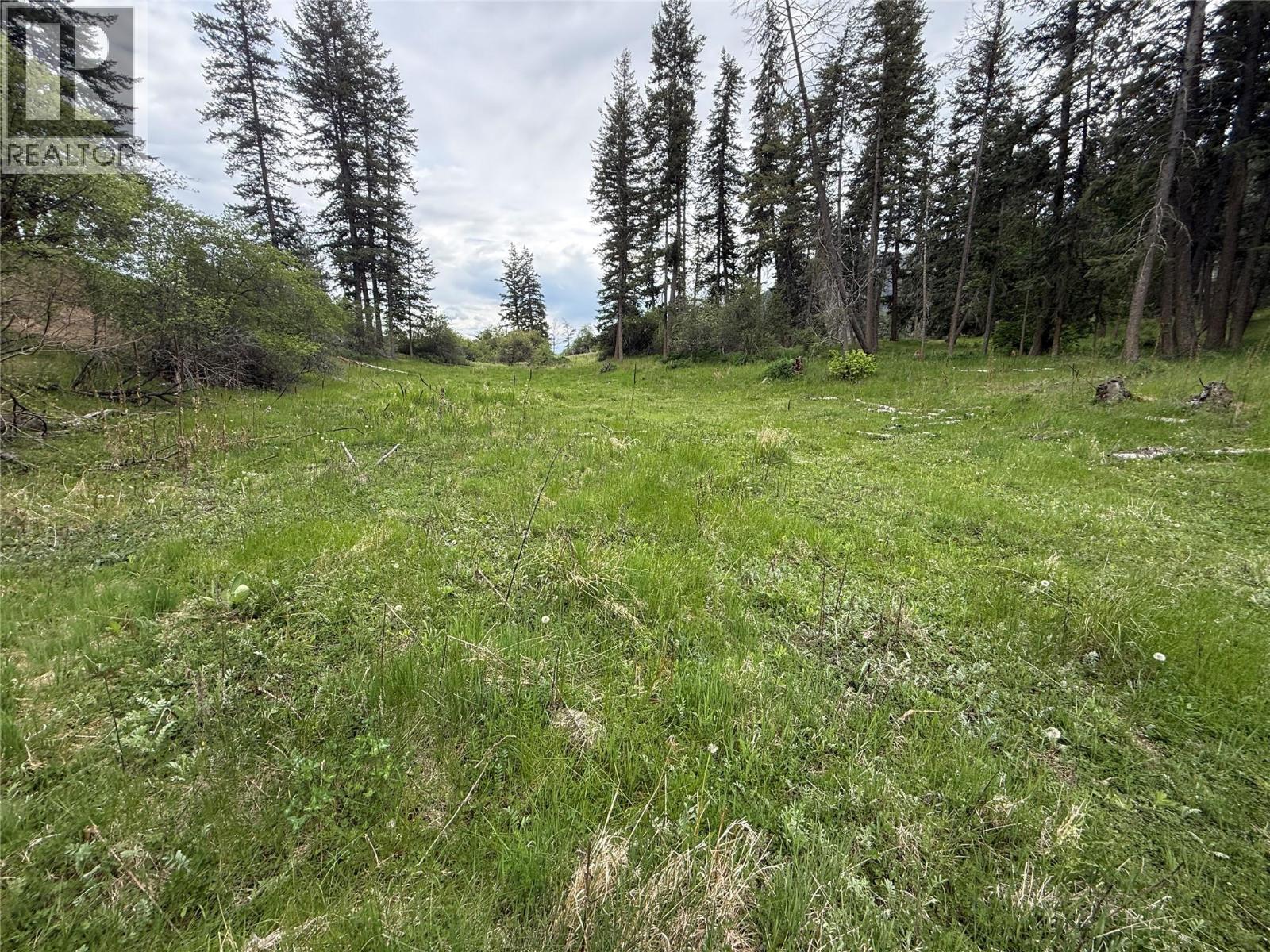 306 Irish Creek Road S, Vernon, British Columbia  V1H 2A4 - Photo 6 - 10390114