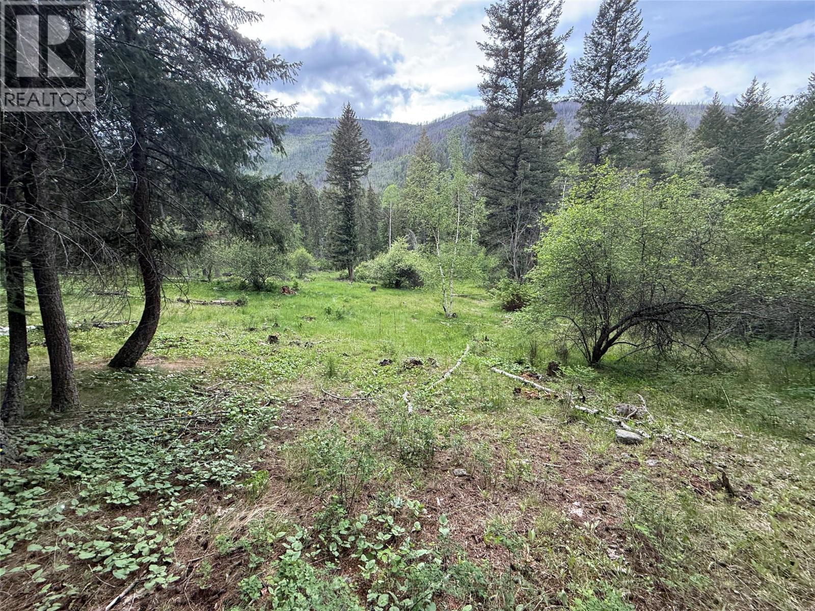 306 Irish Creek Road S, Vernon, British Columbia  V1H 2A4 - Photo 8 - 10390114