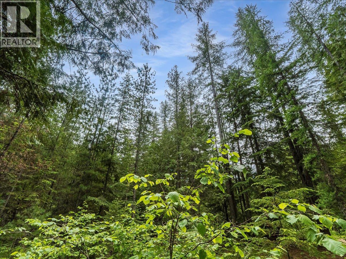 Claybrick Road Lot# 15, Winlaw, British Columbia  V0G 2J0 - Photo 1 - 10390150