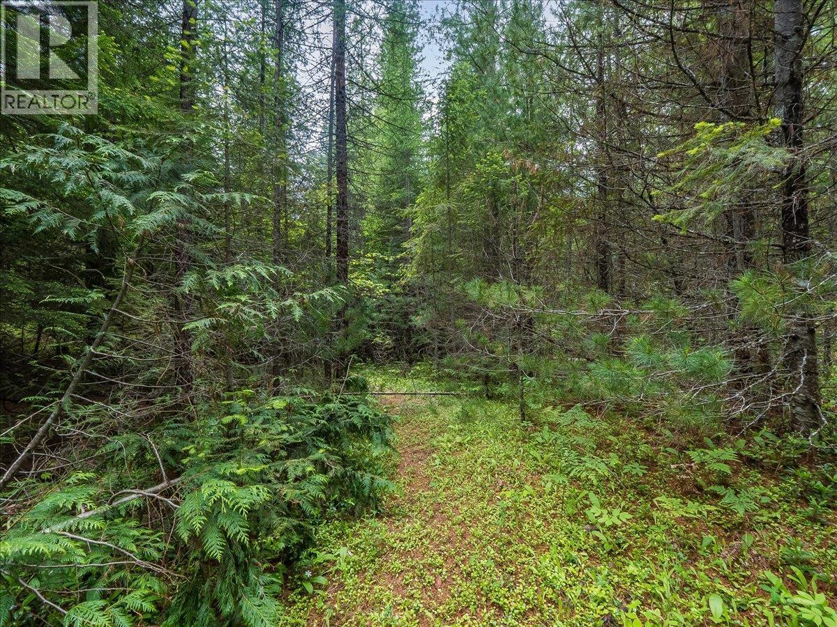 Claybrick Road Lot# 15, Winlaw, British Columbia  V0G 2J0 - Photo 2 - 10390150