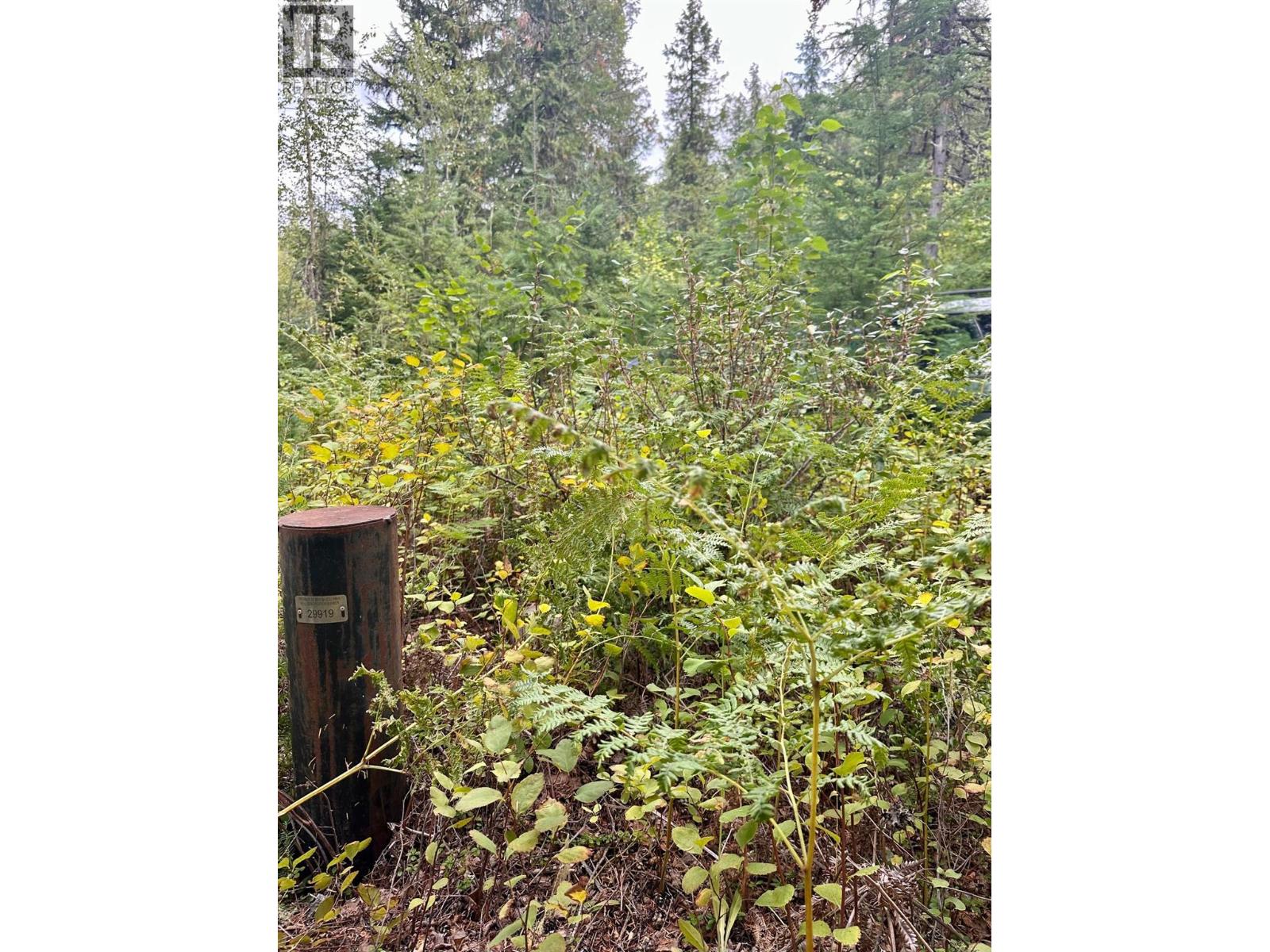 5105 3 Highway, Salmo, British Columbia  V0G 1Z0 - Photo 6 - 10390361