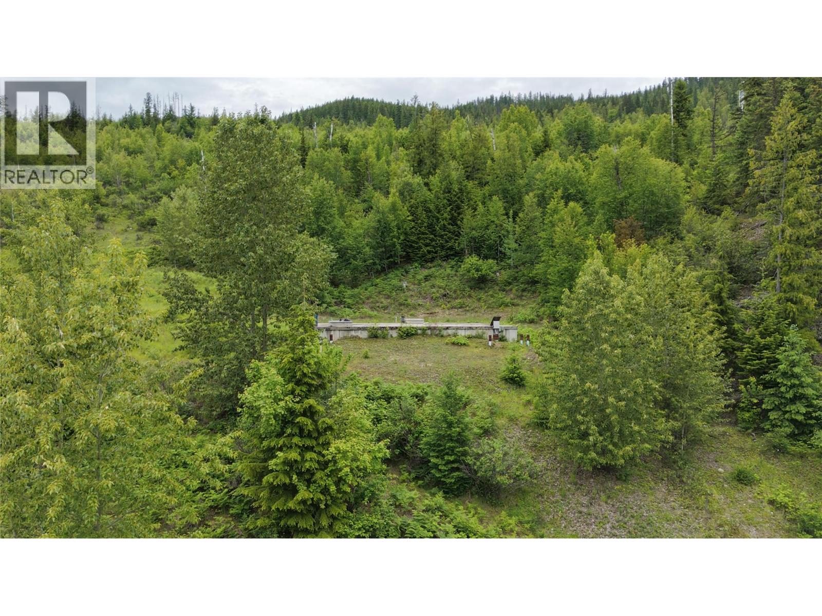 5360 6 Highway, Rosebery, British Columbia  V0G 1S1 - Photo 10 - 10390213