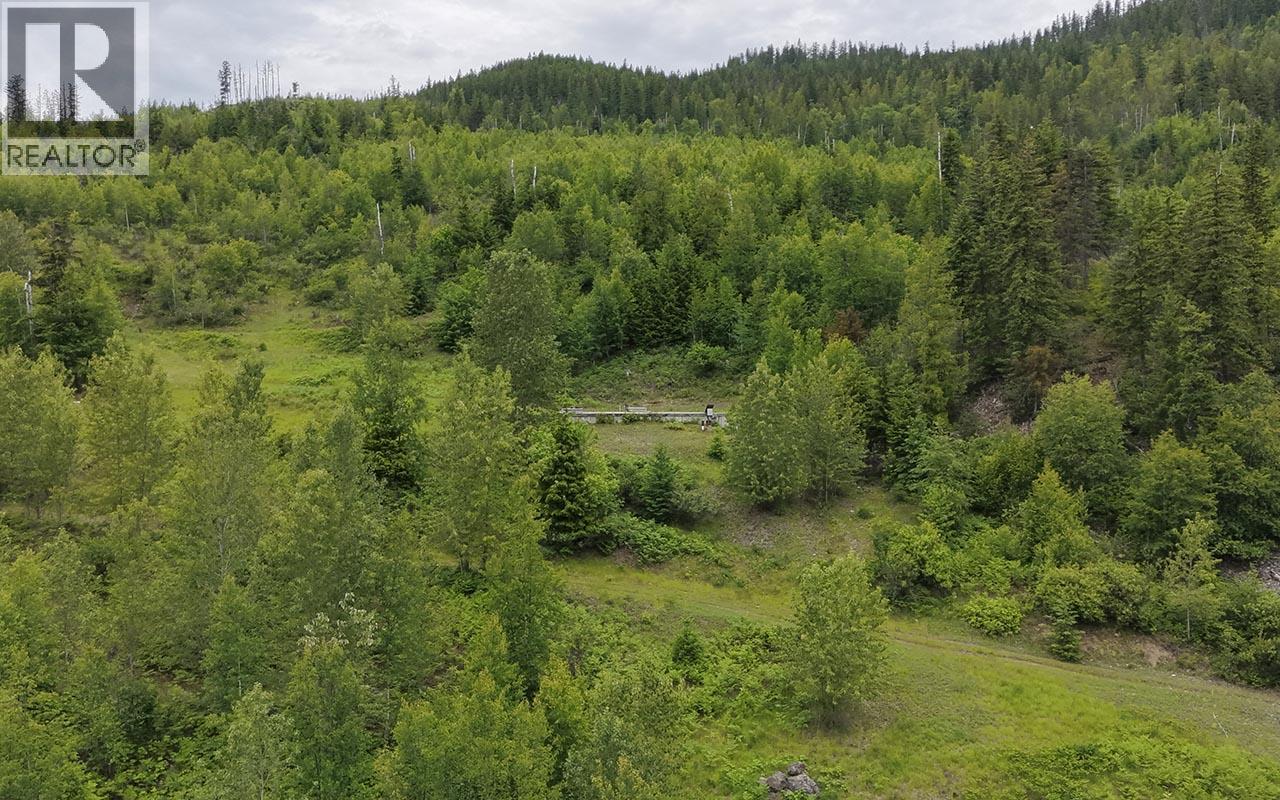 5360 6 Highway, Rosebery, British Columbia  V0G 1S1 - Photo 11 - 10390213