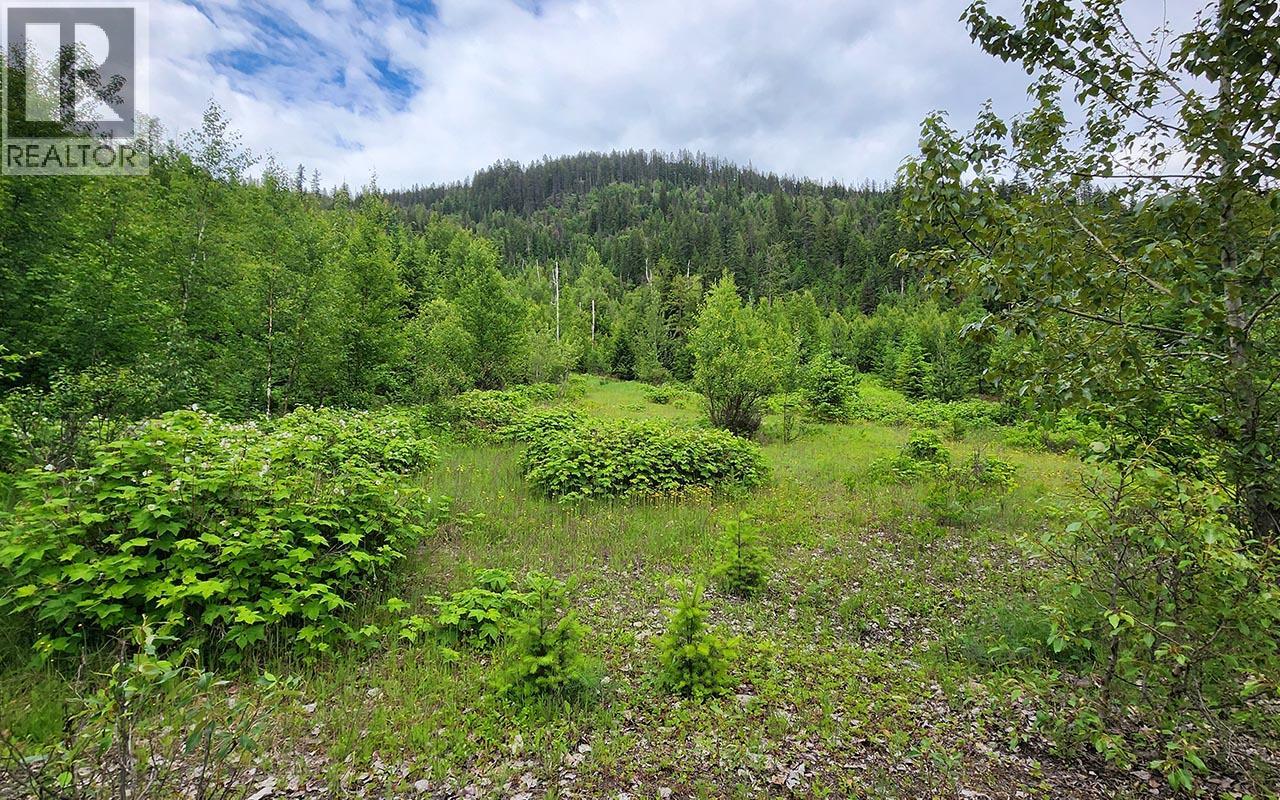 5360 6 Highway, Rosebery, British Columbia  V0G 1S1 - Photo 13 - 10390213