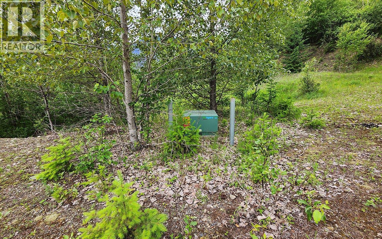 5360 6 Highway, Rosebery, British Columbia  V0G 1S1 - Photo 15 - 10390213