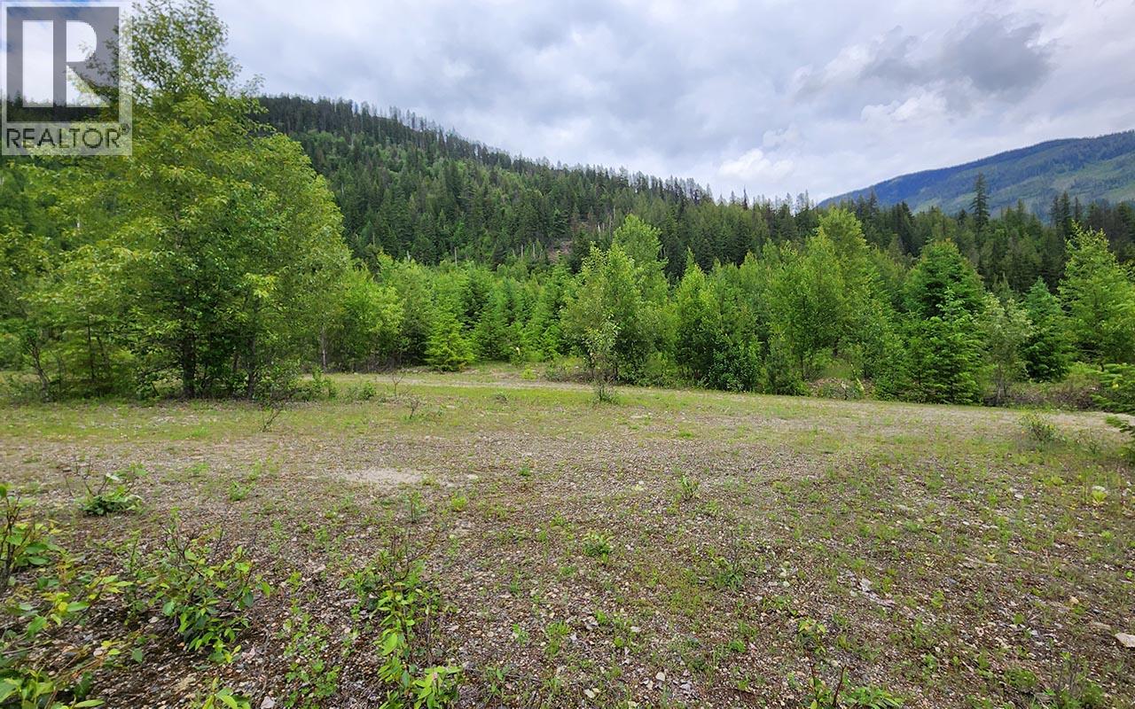 5360 6 Highway, Rosebery, British Columbia  V0G 1S1 - Photo 8 - 10390213