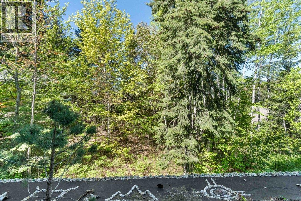 1581 20 Street Ne Unit# 1, Salmon Arm, British Columbia  V1E 0A7 - Photo 63 - 10390045