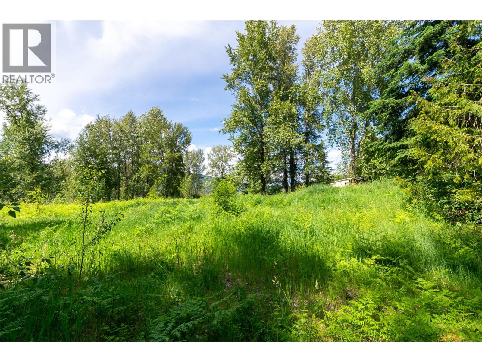 34 West Poirier Road, Mara, British Columbia  V0E 2K0 - Photo 36 - 10390122
