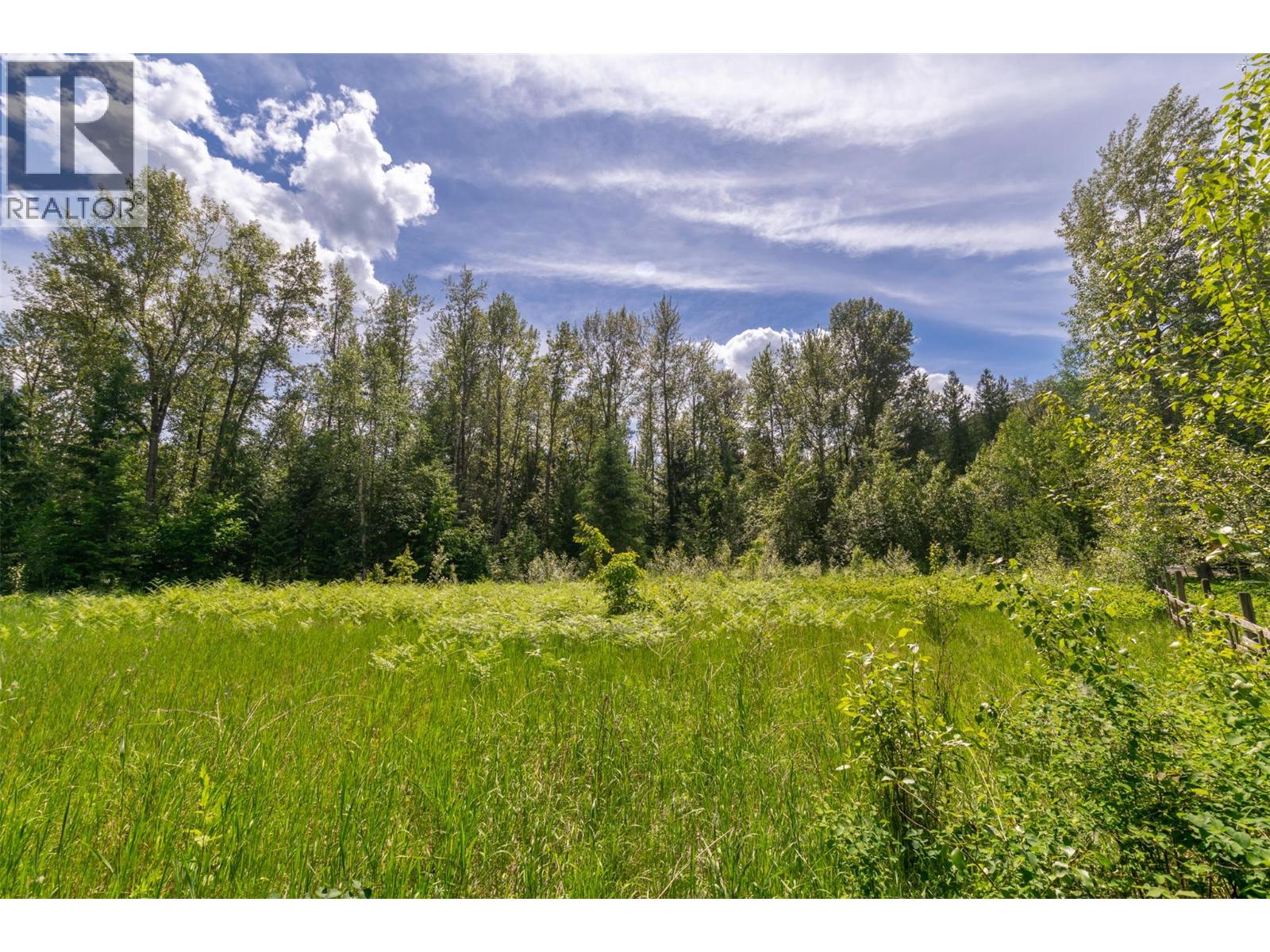 34 West Poirier Road, Mara, British Columbia  V0E 2K0 - Photo 40 - 10390122